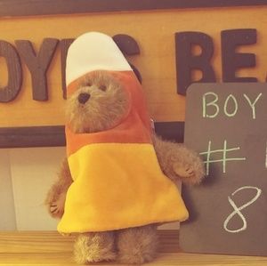 Boyds bear candy corn